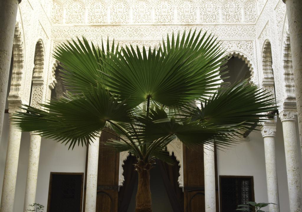 Riad Azahra Rabat Bagian luar foto